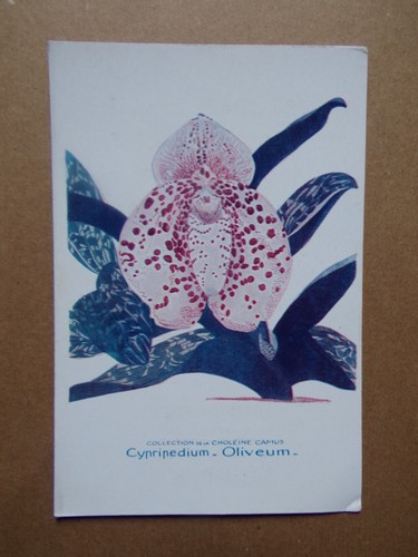 Carte orchidée - §,