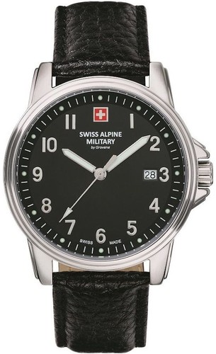 Swiss alpine military leader - alpine,