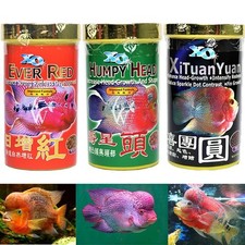 Xo Ocean Free Flowerhorn