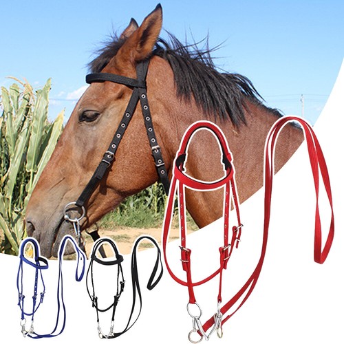 Briglia per cavallo - cavallo, redini