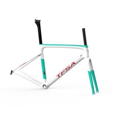 Telaio in carbonio freno