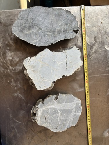 Minerali septaria grezza - septaria,