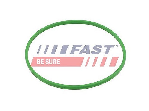 Guarnizione fast pompa - guarnizione,