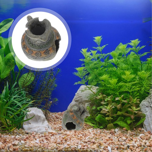 Ornamento acquario acquario