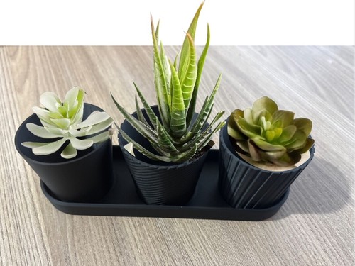 Lusso set mini fioriera - lusso, 3