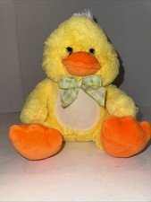 2017 Inter American Duck Chick