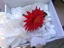 Fabar Capodimonte Porcellana