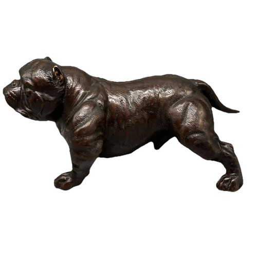 Bulldog american bully - american, dog