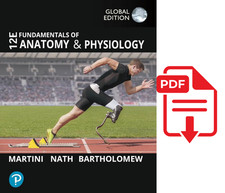 Fondamenti di Anatomia e