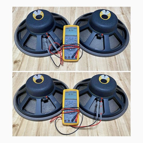 Coppia unità woofer - a, cono