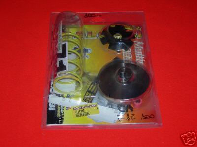 Variatore malossi multivar - malossi,