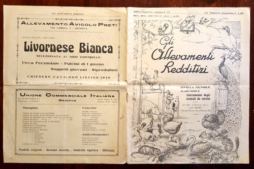 18285 rivista gli allevamenti - 18285-rivista,,