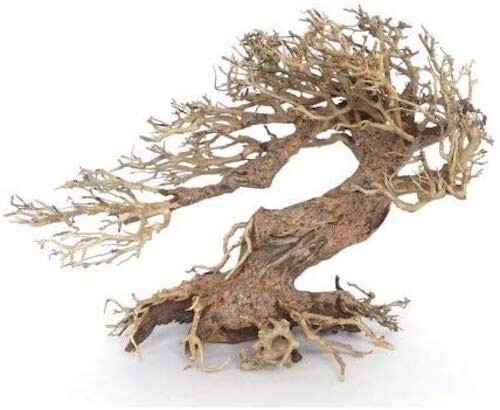 Legno oriental wind - wind, 3
