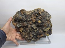 Minerali◇Zolfo Bituminoso