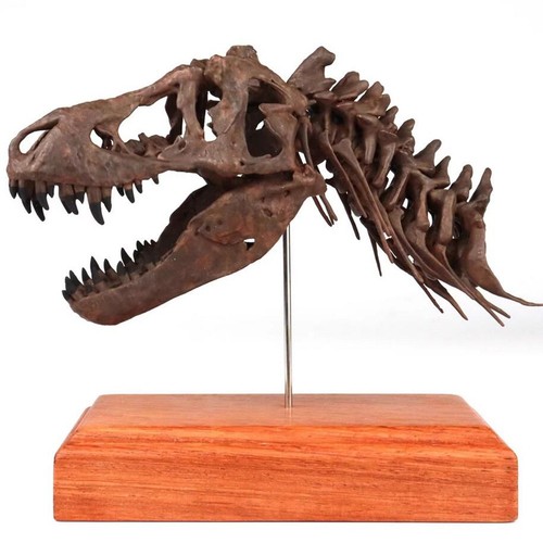 Statua dinosauro scheletro