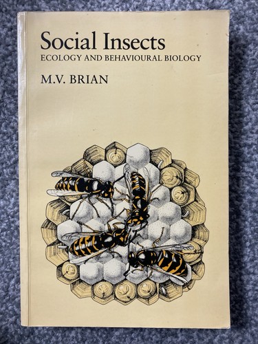 Social insects ecology and - insects,