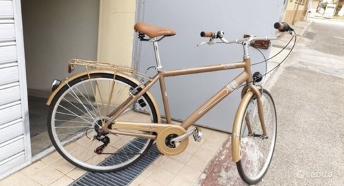 Bicicletta regina - bicicletta,