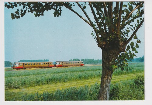 Saluzzo treno aln 772 - saluzzo,