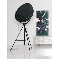 Pallucco, Fortuny Nera, Mariano Fortuny, 1907