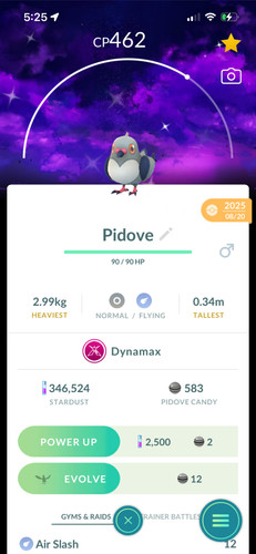Shiny dynamax pidov sfondo - dynamax,