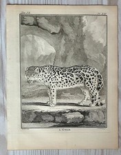 1767 litografia stampa