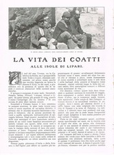 Rossana - LA VITA DEI COATTI