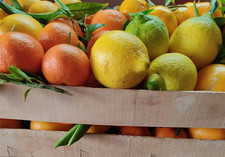 BOX 10 kg Agrumi misti Siciliani Arance Clementini Limoni BIOLOGICI Bio sicilia