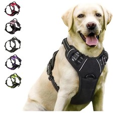 PETTORINA PER CANI Antitiro