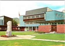 Trysil, Norvegia BIBLIOTEK biblioteca e statua/monumento cartolina VINTAGE 4X6