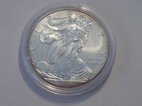 Usa dollaro 1 oncia - -,