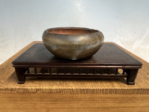 Bellissimo vaso per bonsai