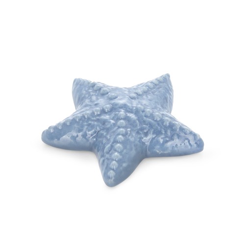 Decorazione stella marina blu