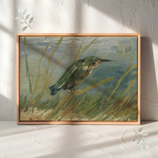 Kingfisher stampa su tela - stampa,