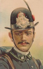 C1137) PRIMO PIANO DI ALPINO