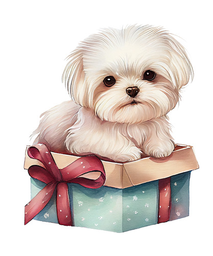 Adesivo auto maltese cani