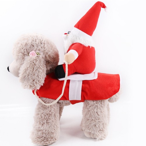 Costume natalizio fantasia