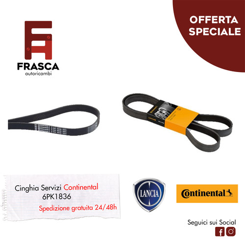 Cinghia servizi polyv - servizi,