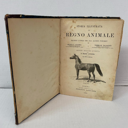 Storia illustrata del regno - illustrata,