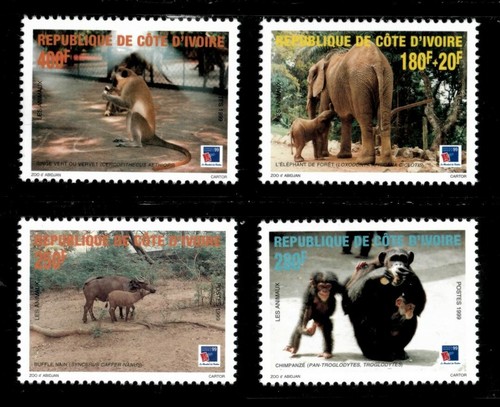 Costa avorio 1999 - -, elefante