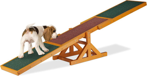 Bascula agility dog - bascula,