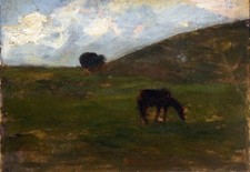 TRIESTE - PIETRO FRAGIACOMO -