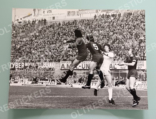 Tazio roversi cresci foto - roversi,