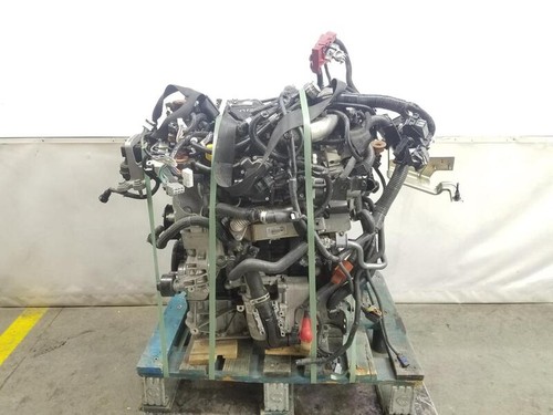 Motore nissan trail t32 - motore,