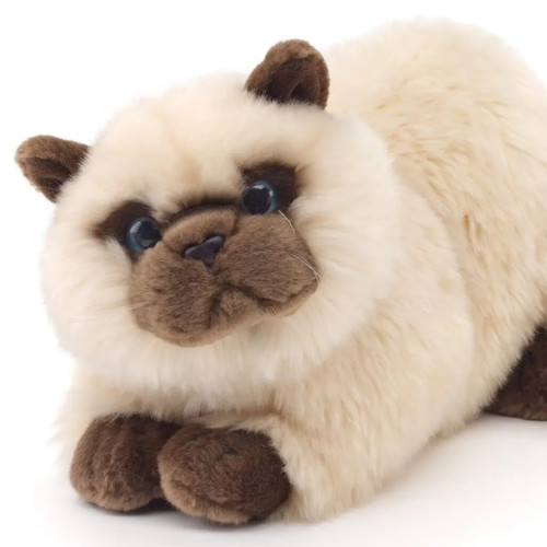 Uni toys grande gatto persiano - uni,
