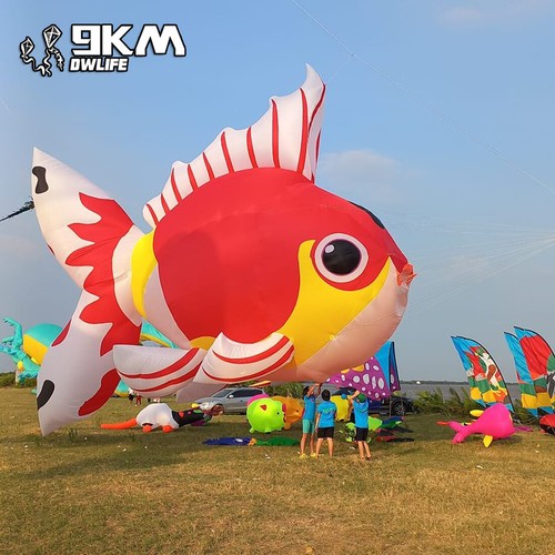 9km big goldfish aquilone - 5m,