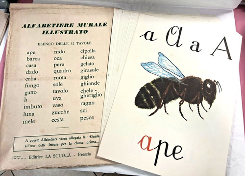 Alfabetiere murale scuola - alfabetiere, "la