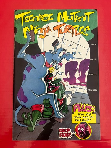 Teenage mutant ninja turtles - ninja,