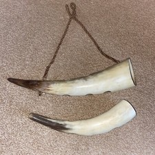 Two Vintage Cow/Bull Horn Ware