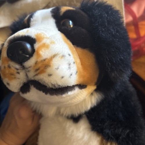 Peluche cane cucciolo montagna