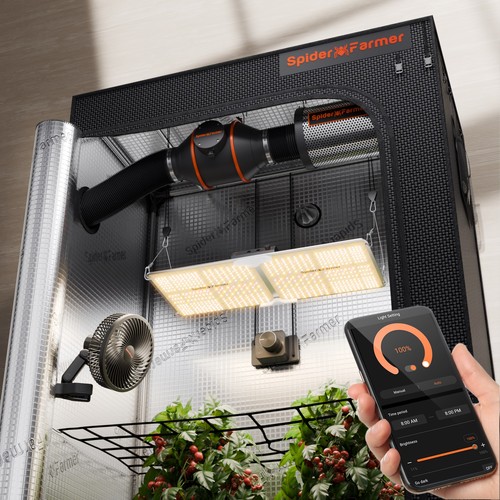 Spider farmer growbox - spider, set